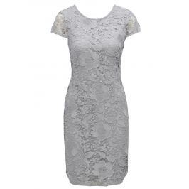 Šedé krajkové pouzdrové šaty Dorothy Perkins